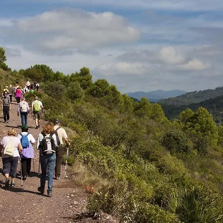 Al4-2115 - - Alcazaba Lagoon Estepona