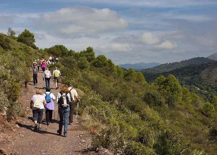 Al4-2115 - - Alcazaba Lagoon Estepona