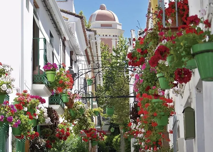 Al4-2115 - - Alcazaba Lagoon Apartment *